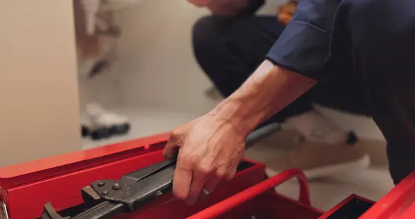 Professional Handyman Services